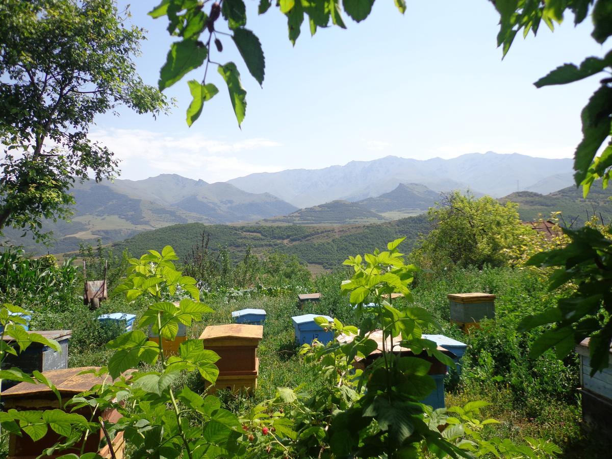 Anush'S B&B Tat'ev Ngoại thất bức ảnh